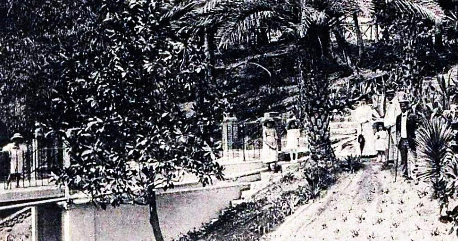 1382- Hammam-R'Hira - Jardins de l'hotel2.jpg